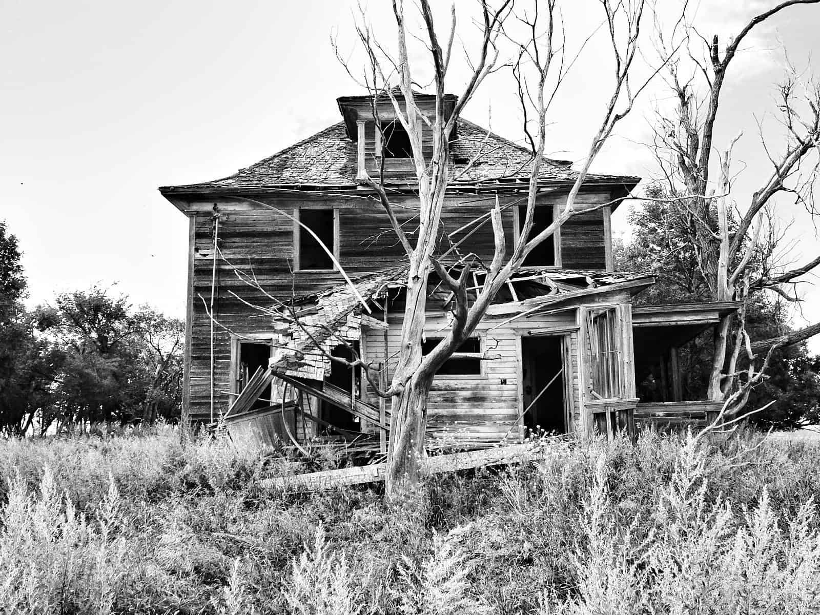 Abandoned House Reclaimed Wood Photo 2