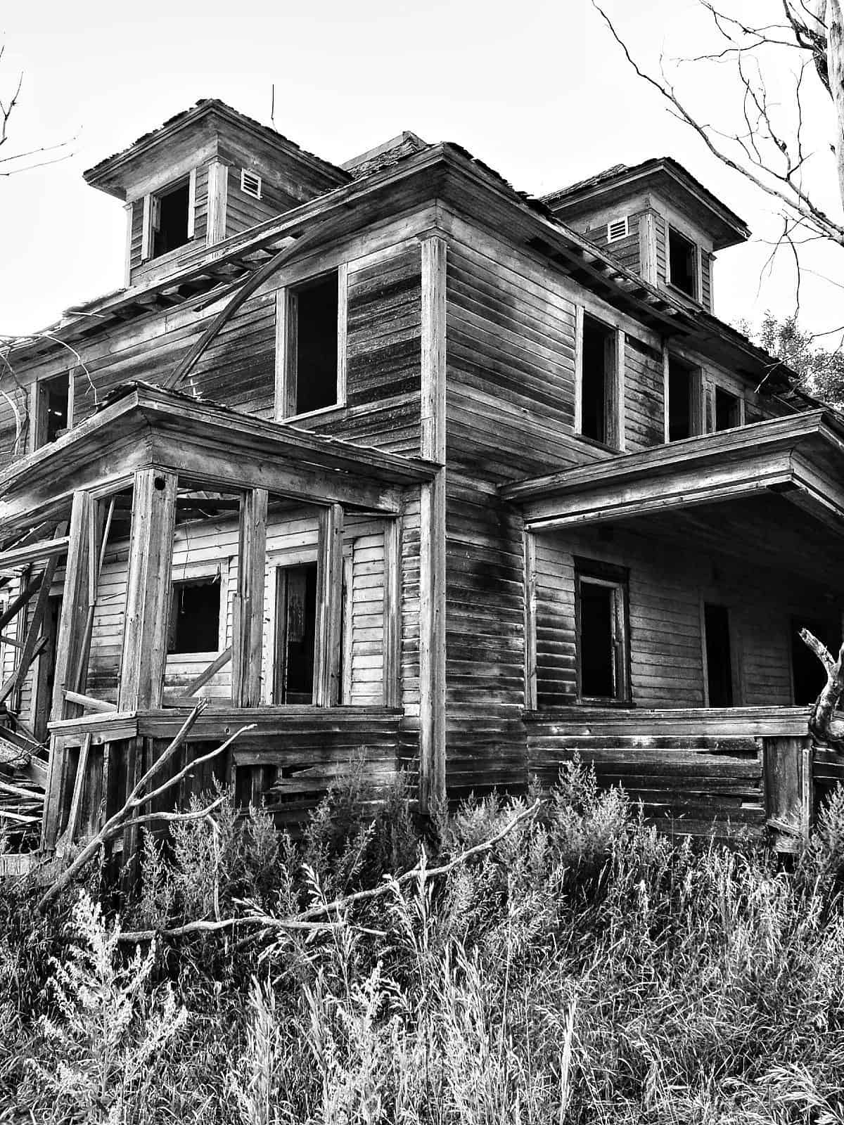 Abandoned House Reclaimed Woom Photo